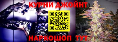 гашик Гатчина