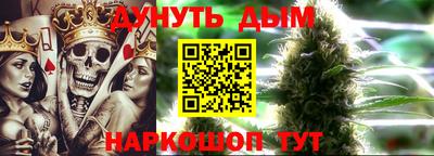 гашик Гатчина