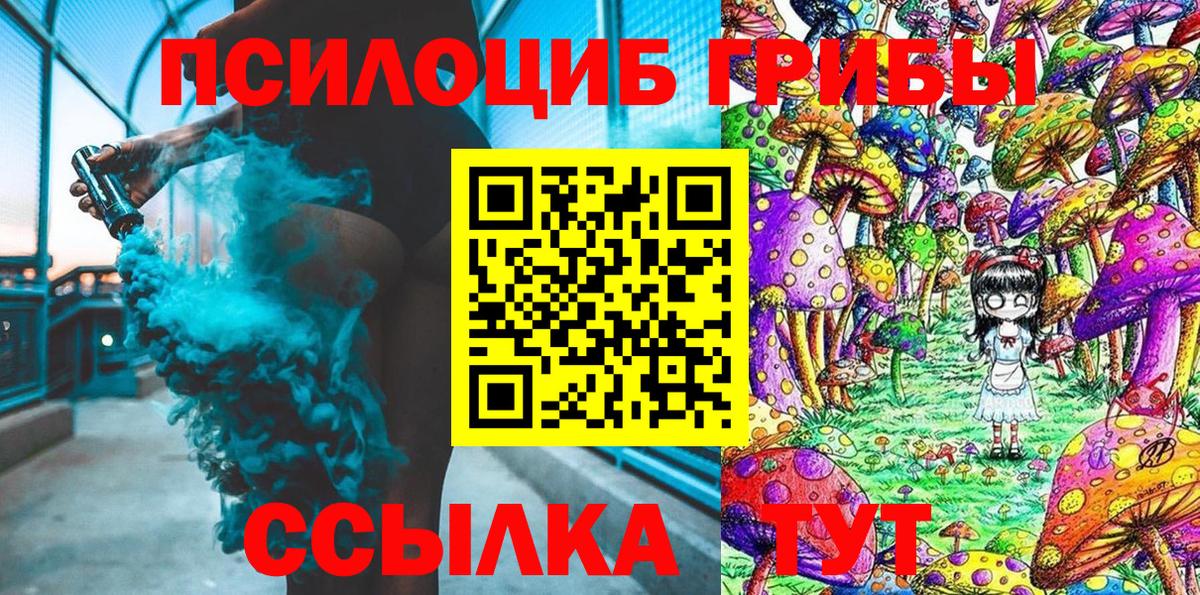 Псилоцибиновые грибы Psilocybe Можга