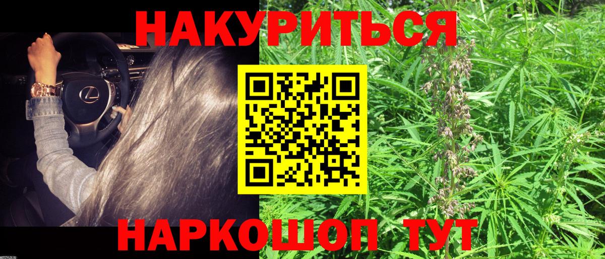Марихуана планчик Можга